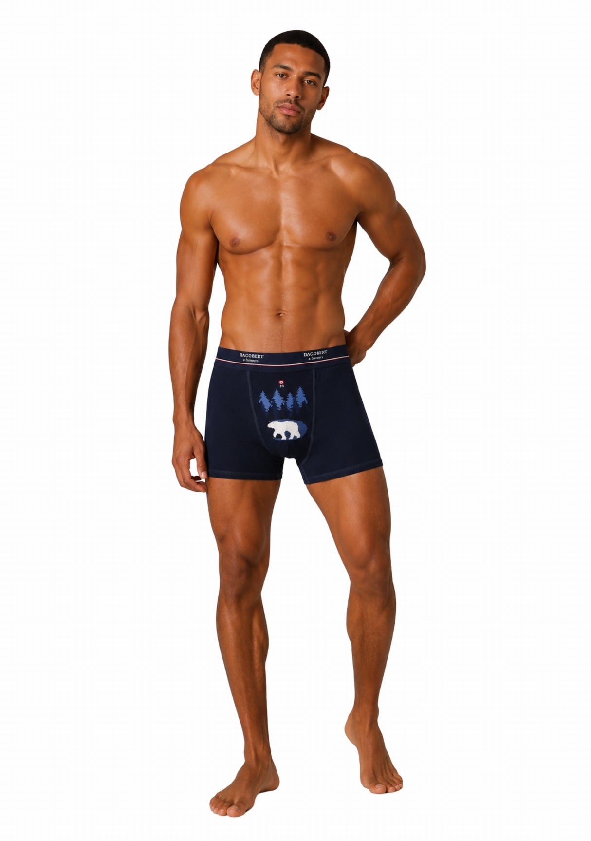 Boxer coton homme Dagobert à l’envers Forêt Marine/Bleu MARINE/BLEU