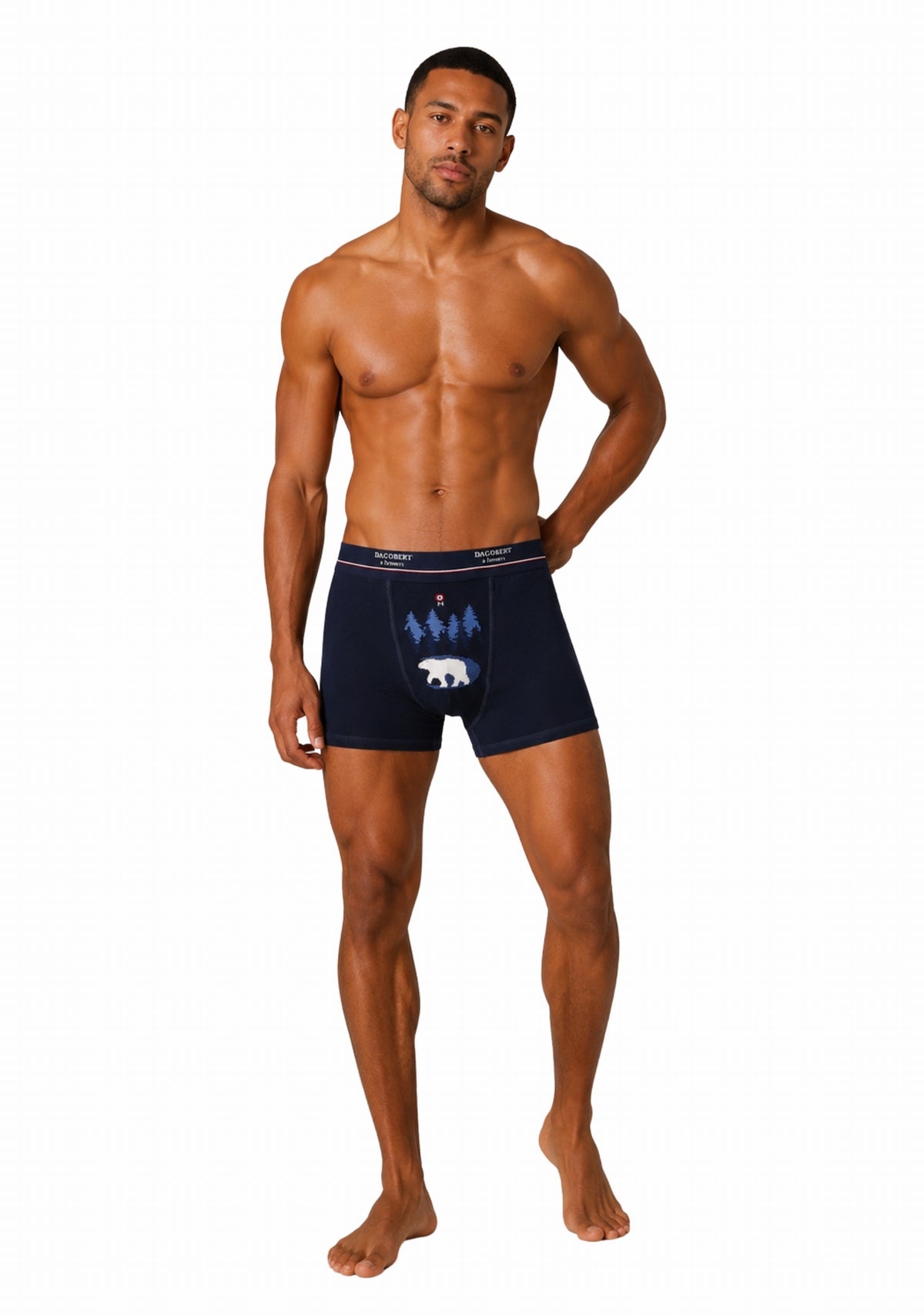 Boxer coton homme Dagobert à l’envers Forêt Marine/Bleu MARINE/BLEU