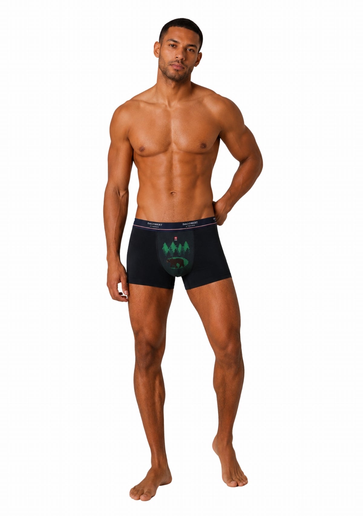 Boxer coton homme Dagobert à l’envers Forêt Noir/Vert NOIR/VERT