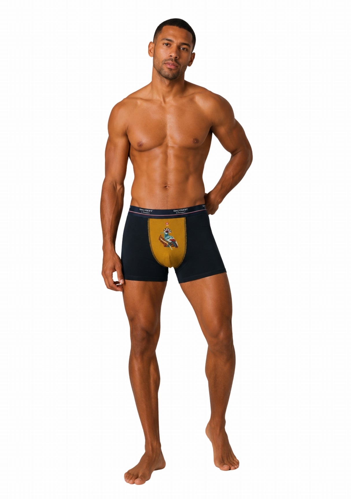 Boxer homme coton colibri moutarde MOUTARDE