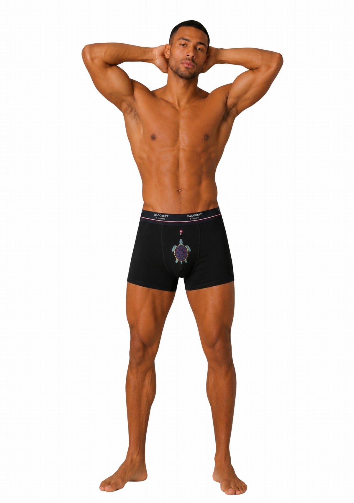 Boxer homme coton tortue noir NOIR