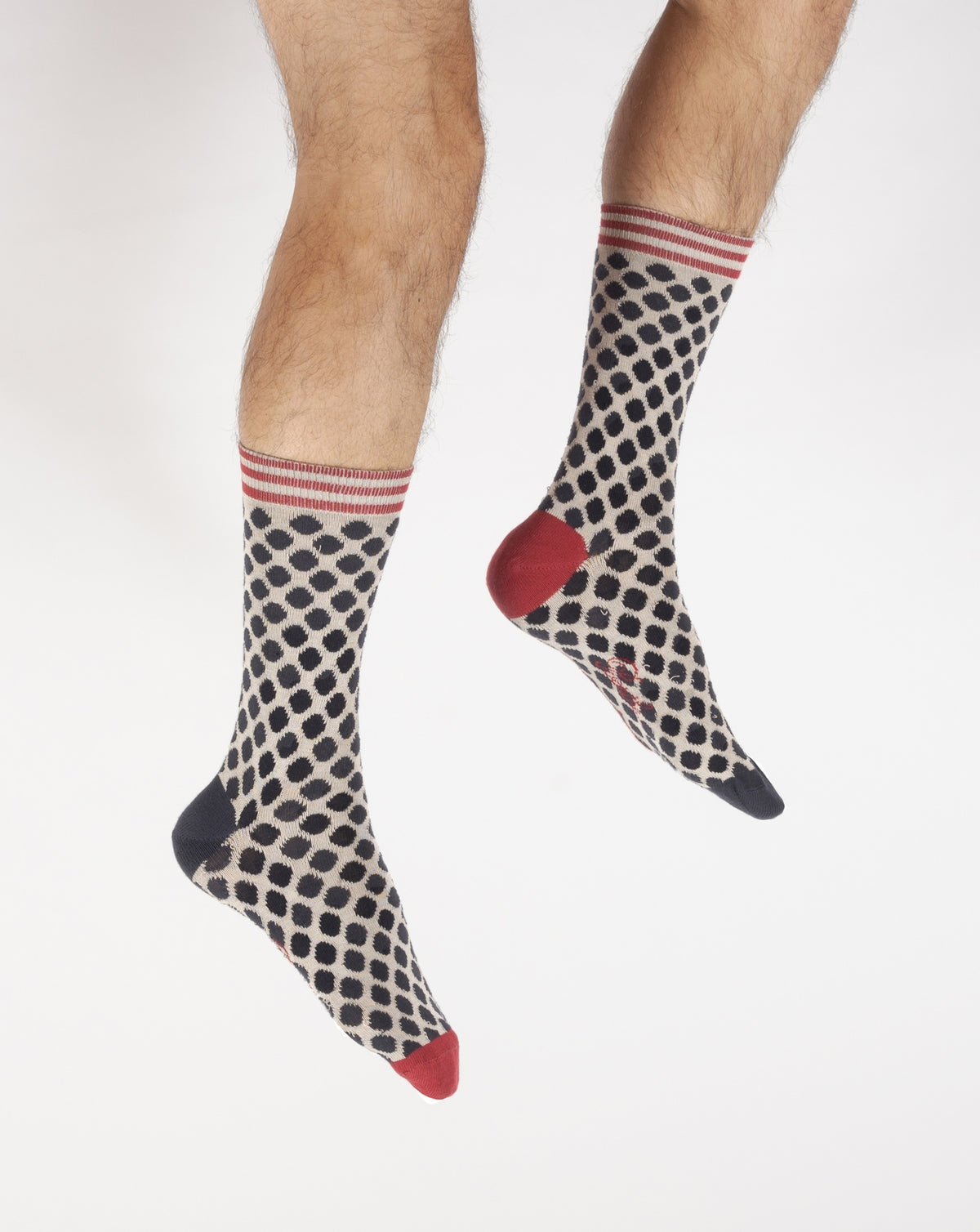 RADLEY London Lot de 3 paires de chaussettes pour femme avec boîte