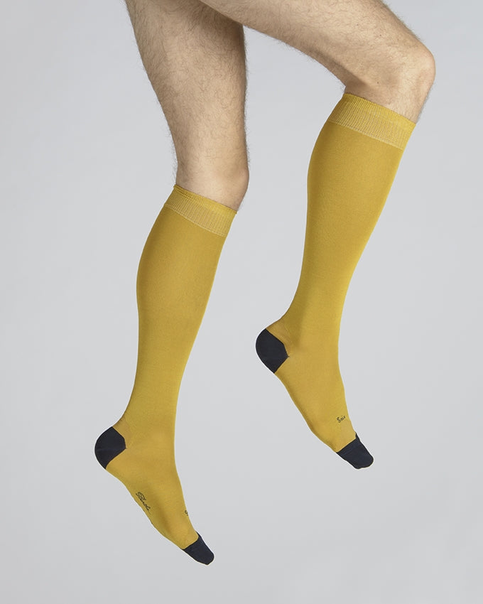 Chaussettes Hautes En Soie Jaune et Marine Brieuc JAUNE